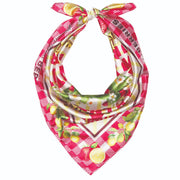 Cowboy Country Grown Wild Berries - Silky Bandana - Red Gingham - The Laundry Room
